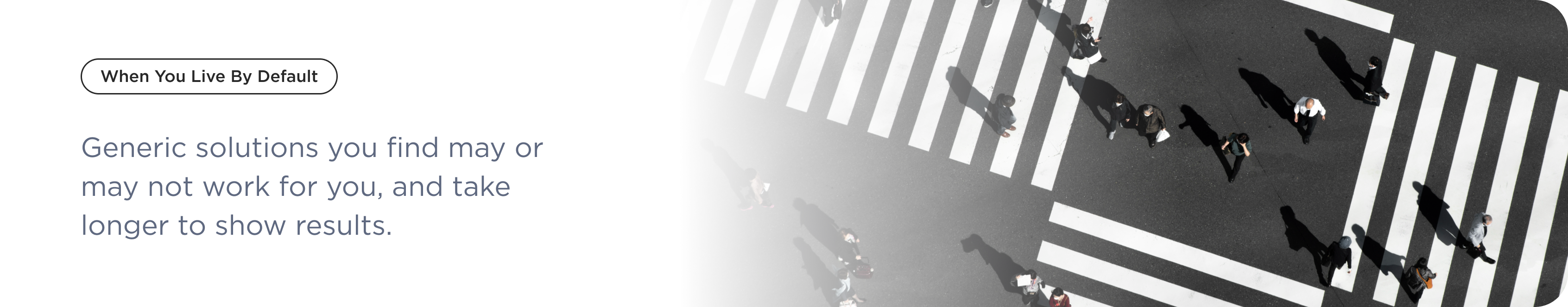 Infor Banner 1